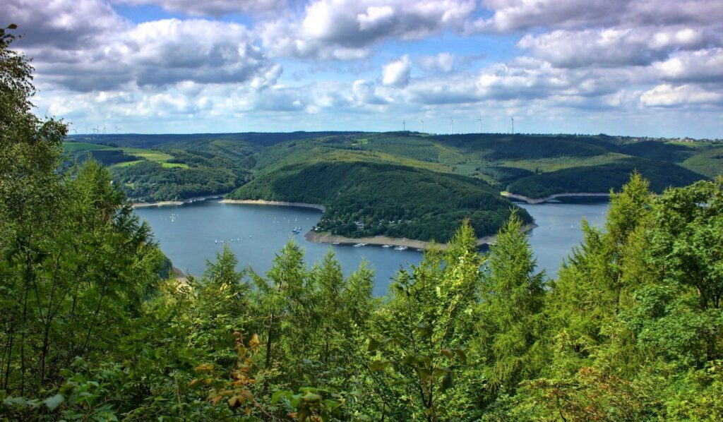 Hirschley2_Weisgerber-jpg-4f93505ddb3c8ba473ae9f1210de6b5a_500k